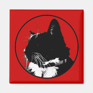 Imã Ímã do gato do smoking