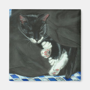 Imã Ímã do gato do smoking do sono