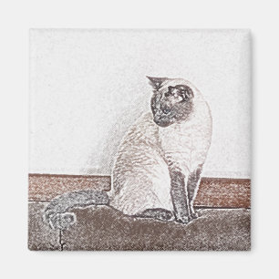 Imã Ímã do gato Siamese