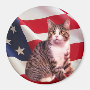 Imã Ímã do gato toda americano