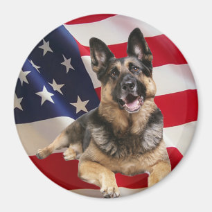 Imã Ímã do german shepherd