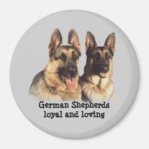 Imã Ímã do german shepherd