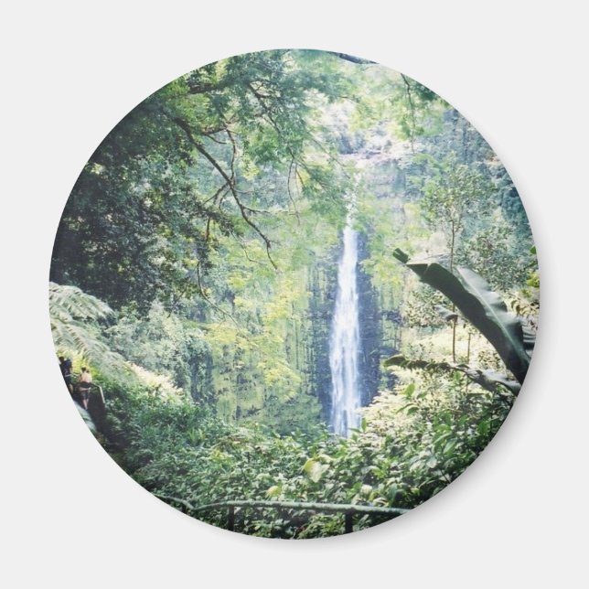 Imã ímã do Havaí (Frente)