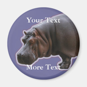 Imã Ímã do Hippopotamus