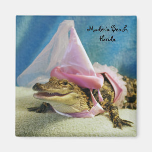 Imã ímã do jacaré da princesa