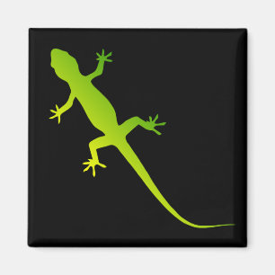 Imã Ímã do lagarto