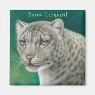 Imã Ímã do leopardo de neve