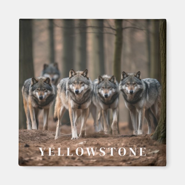 Imã Ímã do Lobo de Yellowstone (Frente)