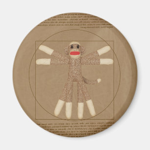Imã Ímã do macaco de Vitruvian
