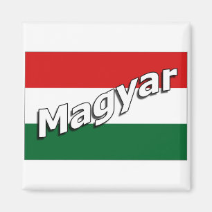 Imã Ímã do Magiar