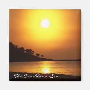 Imã Ímã do mar das caraíbas de Cancun México do Ma