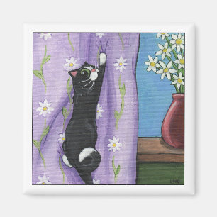 Imã Ímã do montanhista da cortina