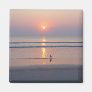 Imã Ímã do nascer do sol do oceano de Daytona Beach