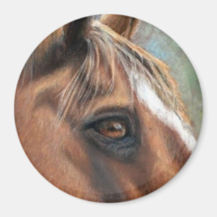 Imã Ímã do olho de Tres