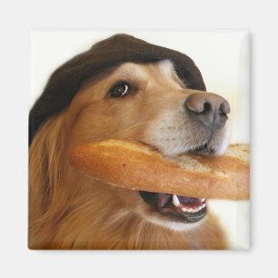 Imã Ímã do pão francês do golden retriever