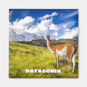 Imã Ímã do Patagonia