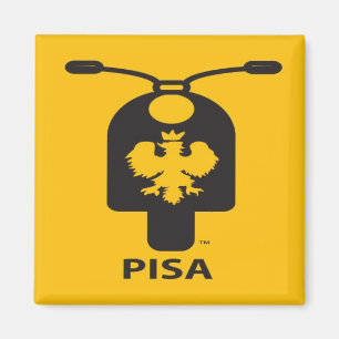 Imã Ímã do patinete de Pisa