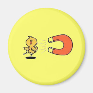 Imã Ímã do pintinho