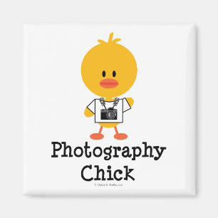 Imã Ímã do pintinho da fotografia