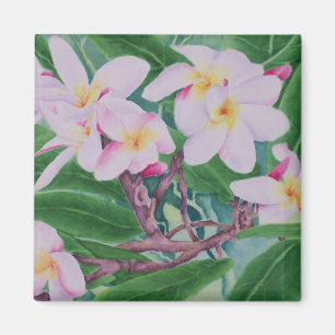 Imã Ímã do Plumeria