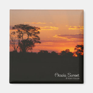 Imã Ímã do por do sol da acácia