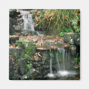 Imã Ímã do prazer de Gardent