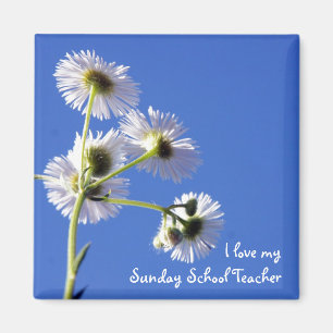 Imã Ímã do professor de catequese