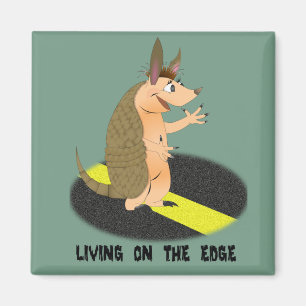 Imã Ímã do quadrado da borda do tatu