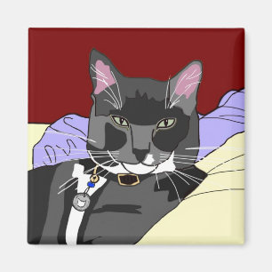 Imã Ímã do quadrado do gato de Smokey