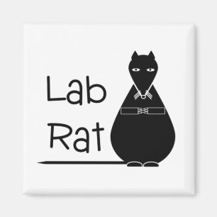 Imã Ímã do rato do laboratório