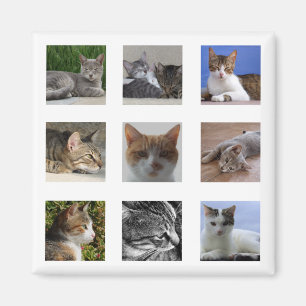 Imã Ímã do refrigerador do gato