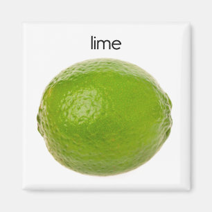Imã Ímã do refrigerador do limão