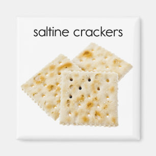 Imã Ímã do refrigerador dos biscoitos do Saltine