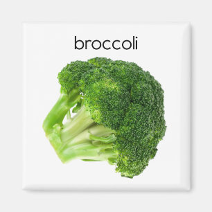 Imã Ímã do refrigerador dos brócolos