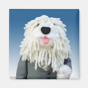 Imã Ímã do Sheepdog de Sherman