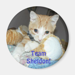 Imã ímã do sheldon da equipe