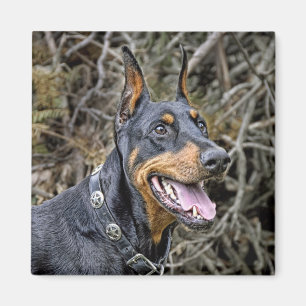 Imã Ímã do sorriso do Doberman