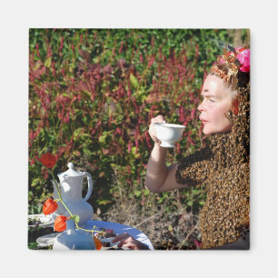 Imã ímã do tea party