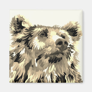 Imã Ímã do urso de urso