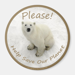 Imã Ímã do urso polar
