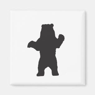Imã Ímã do urso preto