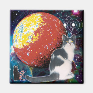Imã Ímã do vagabundo do Robo-Gato