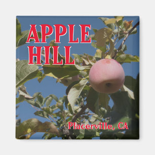 Imã Ímã do viagem de Placerville do monte de Apple