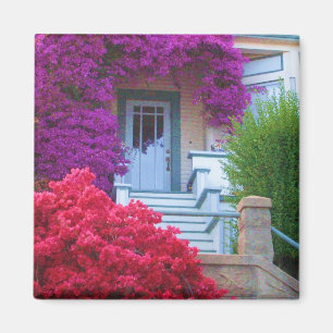 Imã Ímã do Victorian de San Francisco