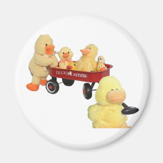 Imã Ímã do Voador do Pato