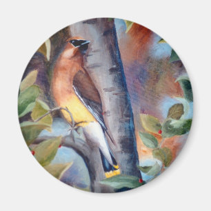 Imã Ímã do Waxwing de cedro