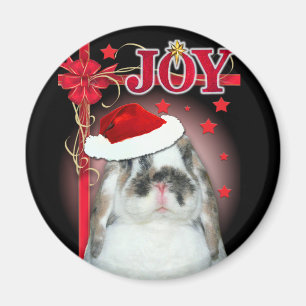 Imã Ímã do Xmas da alegria