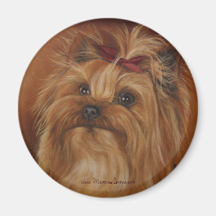 Imã Ímã do yorkshire terrier