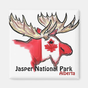 Imã Ímã dos alces de Alberta Canadá do parque nacio