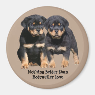 Imã Ímã dos amigos de Rottweiler